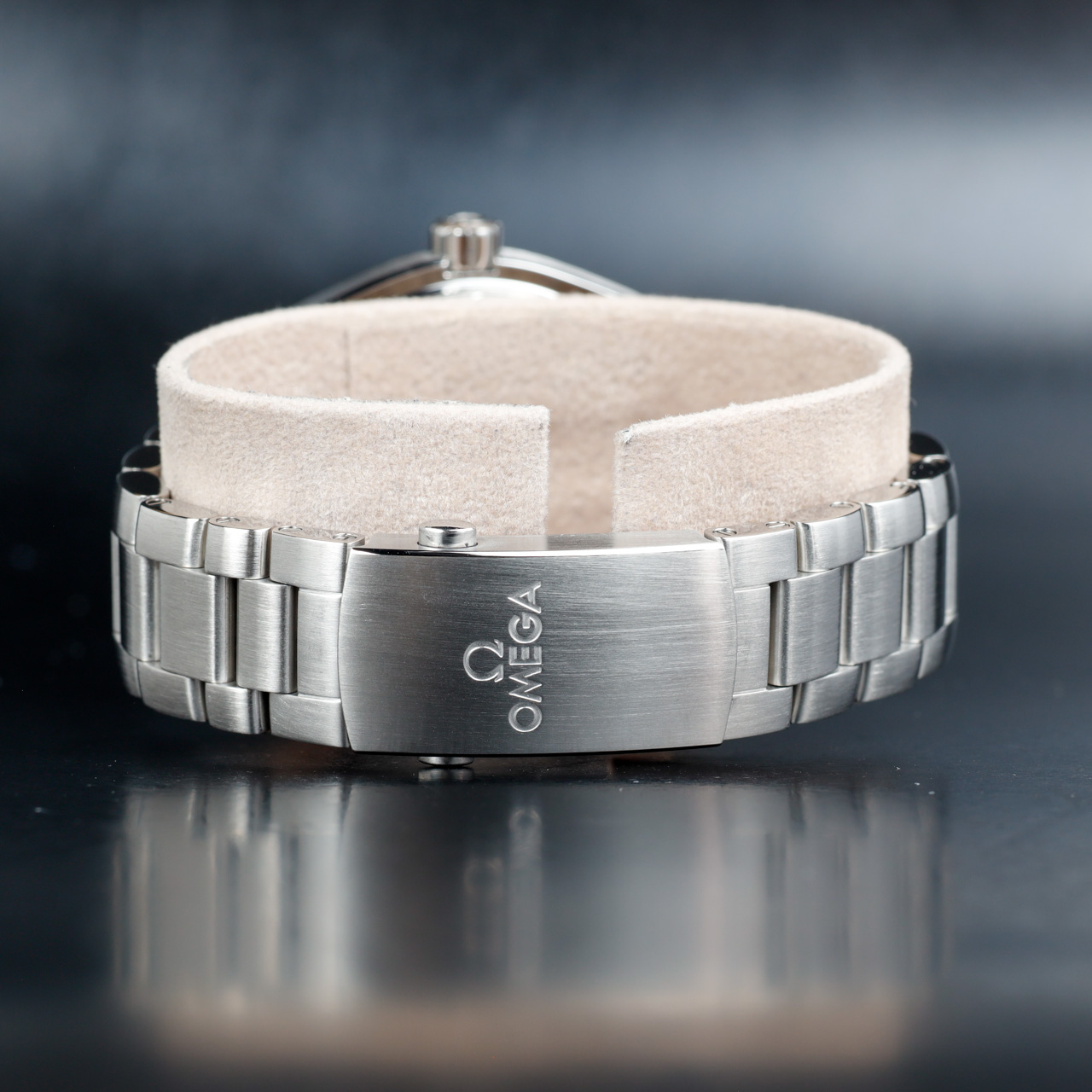 Exel Watches SEAMASTER PLANET OCEAN 600M 4