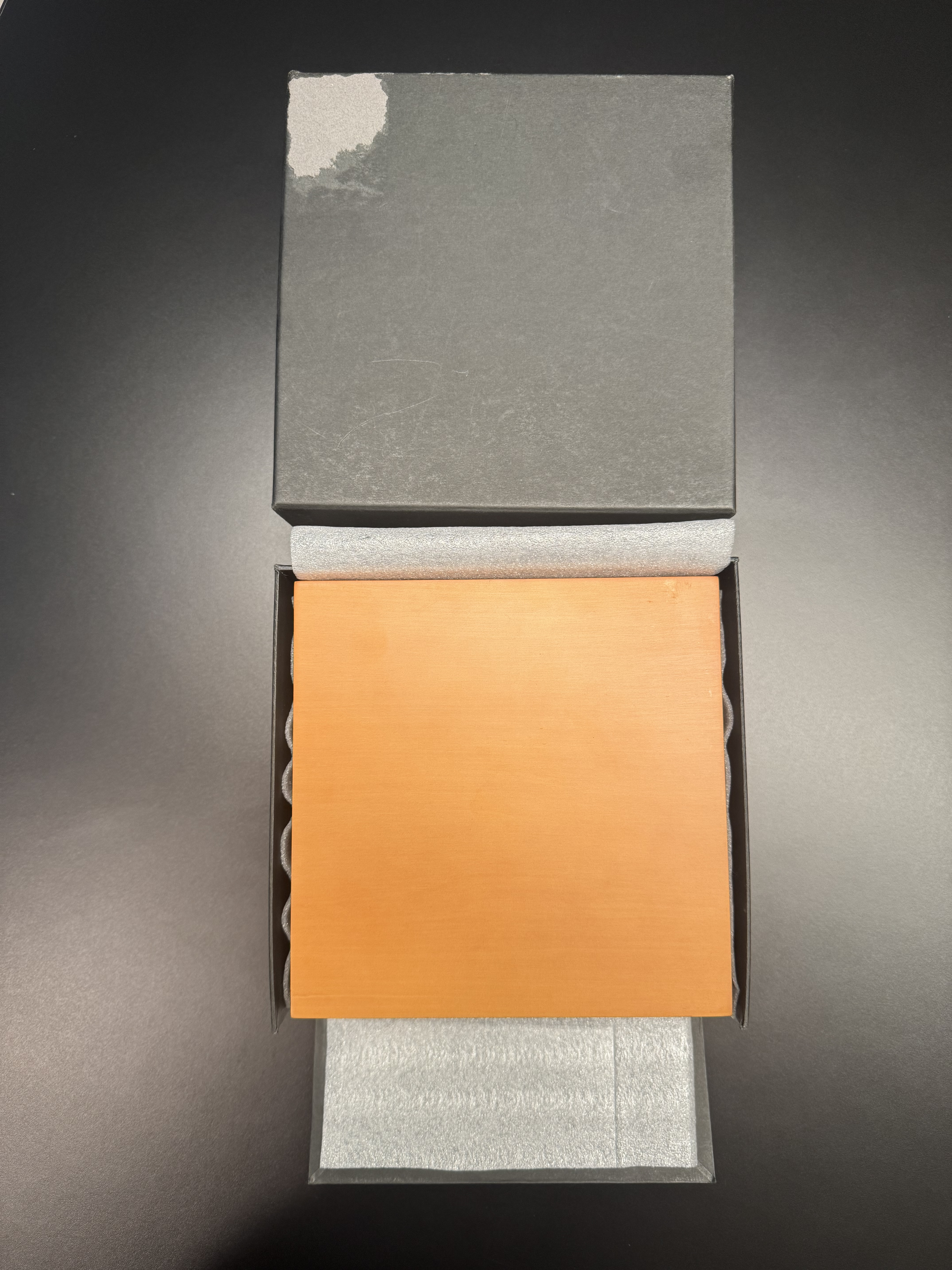 Exel Watches LUMINOR MARINA LOGO 12