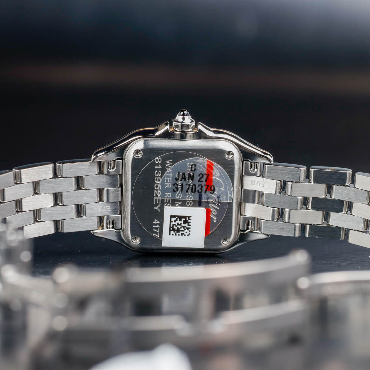 Exel Watches Panthère Small 11
