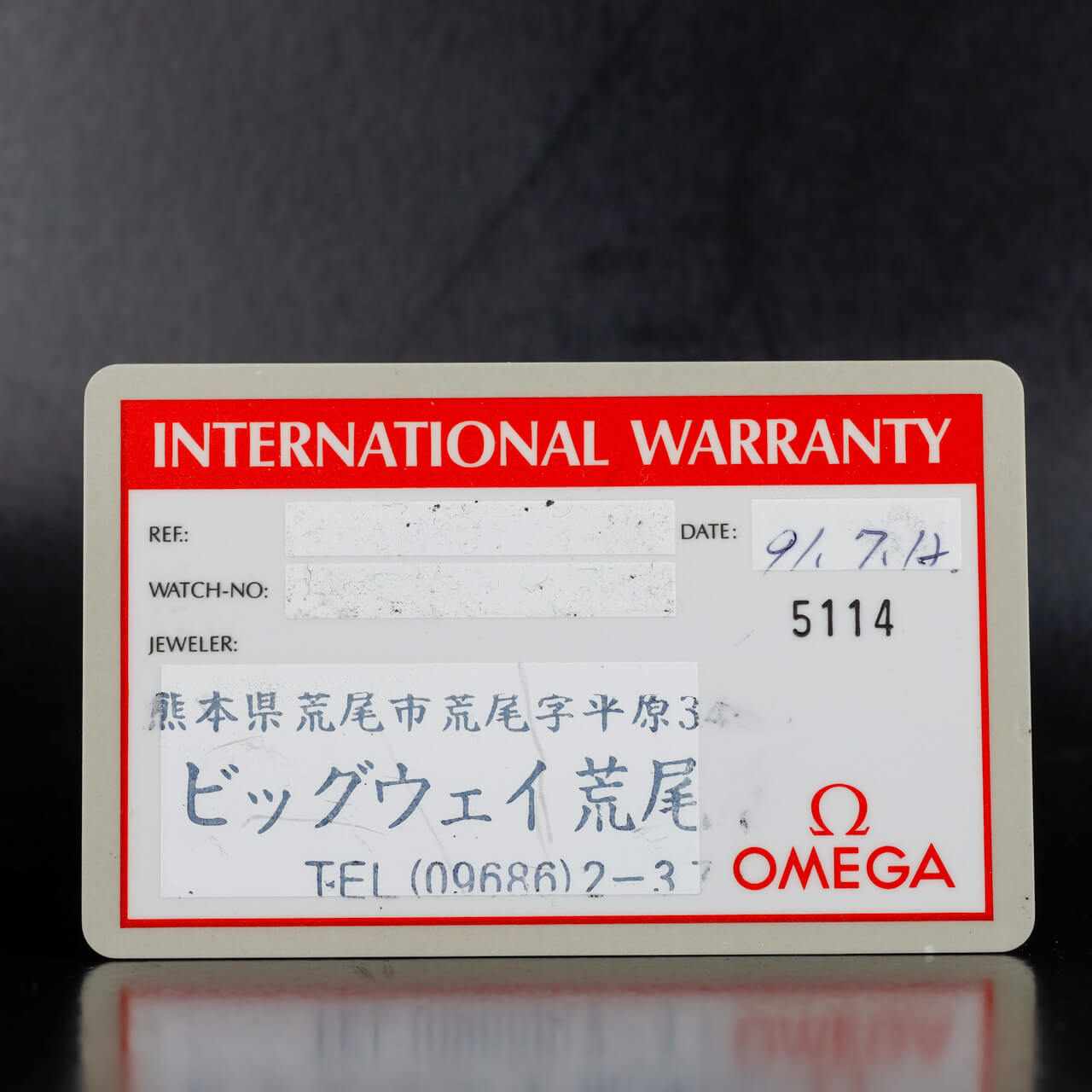 Omega Speedmaster Professional Moonwatch steel 12