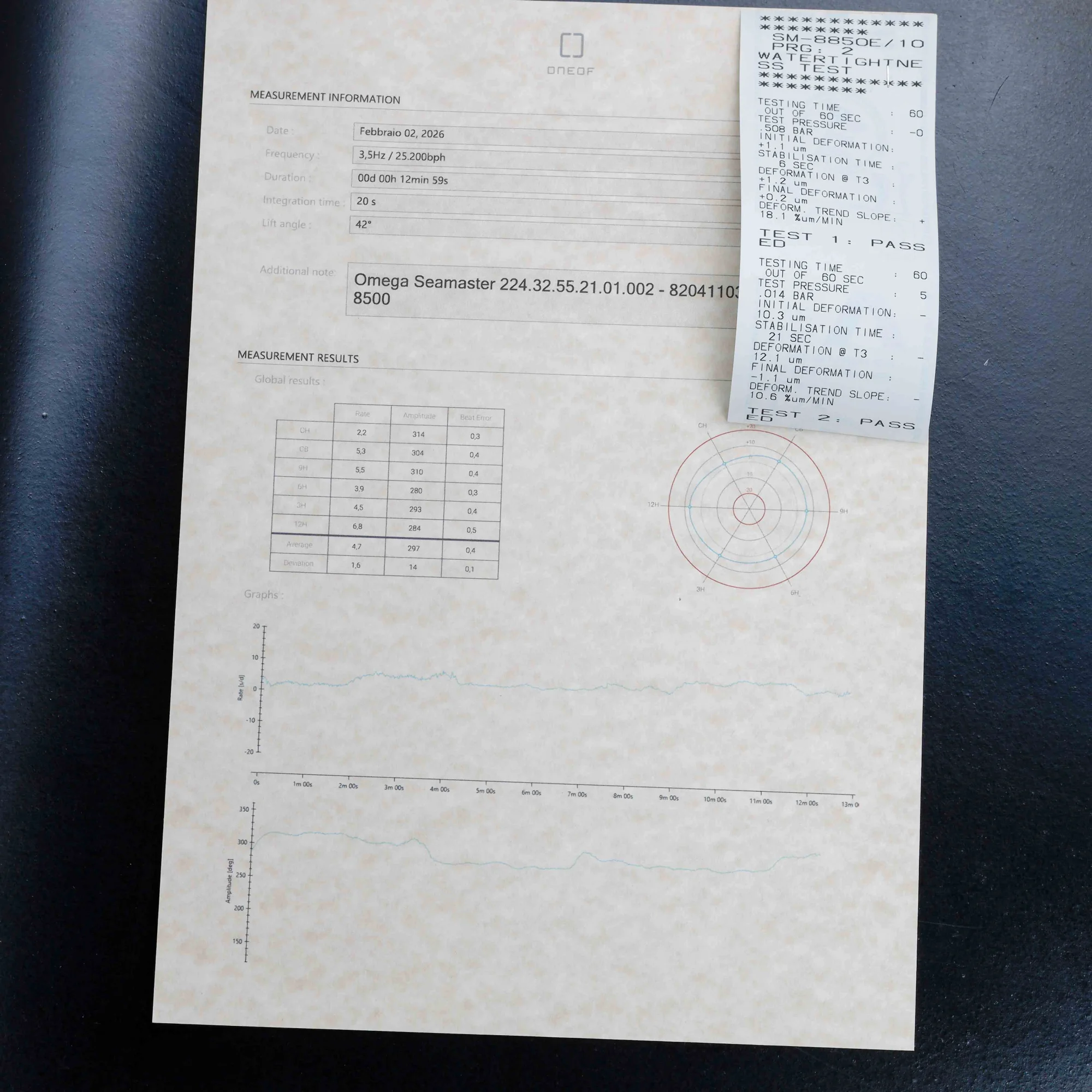 Omega Seamaster Ploprof 1200m acciaio 13