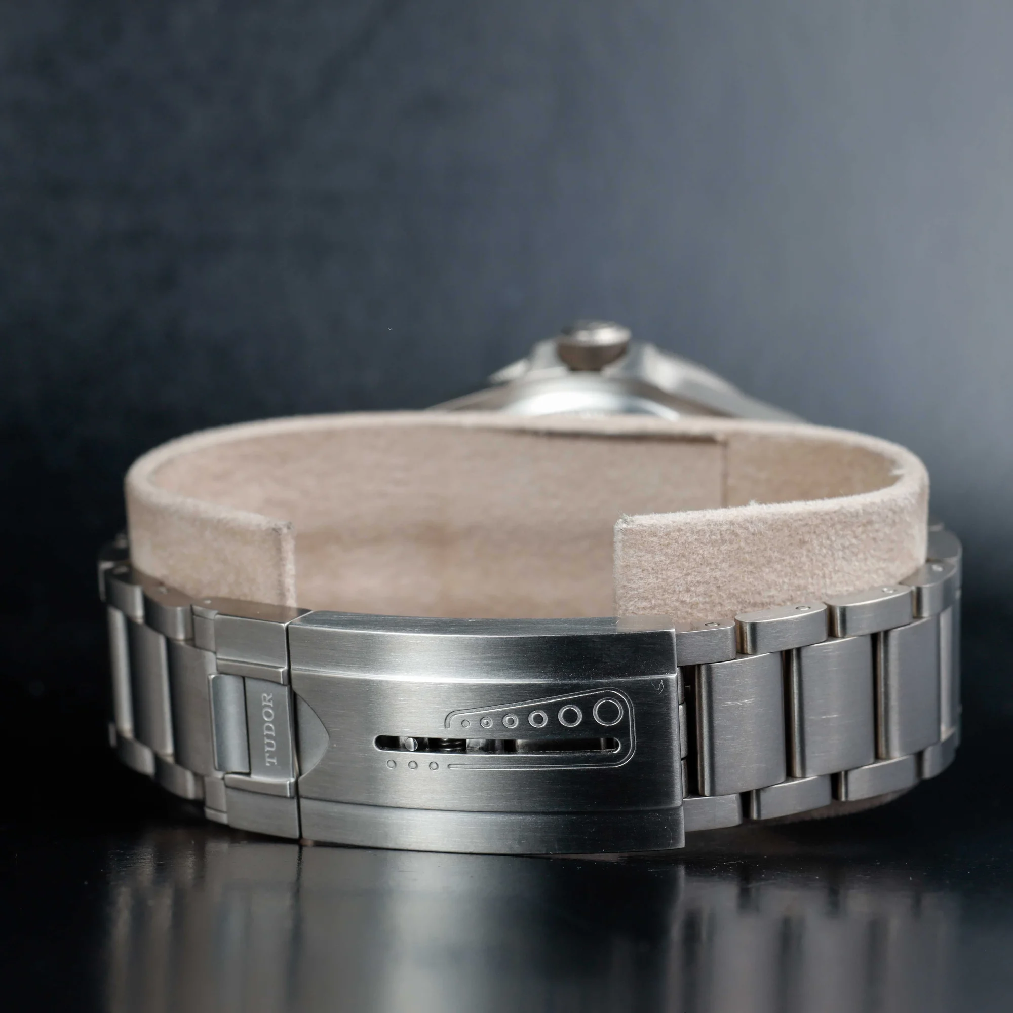 Tudor Pelagos titanio 4