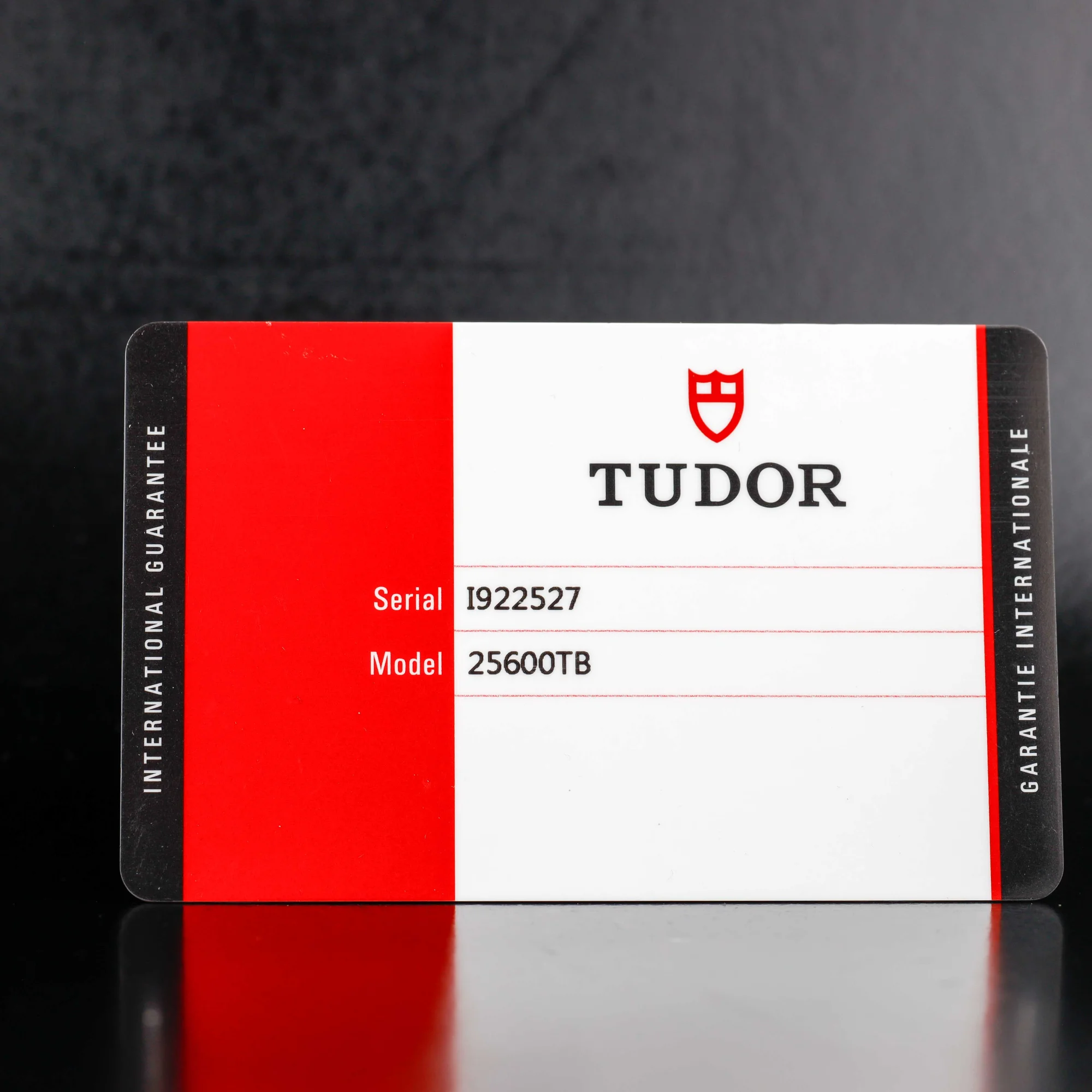 Tudor Pelagos titanio 13