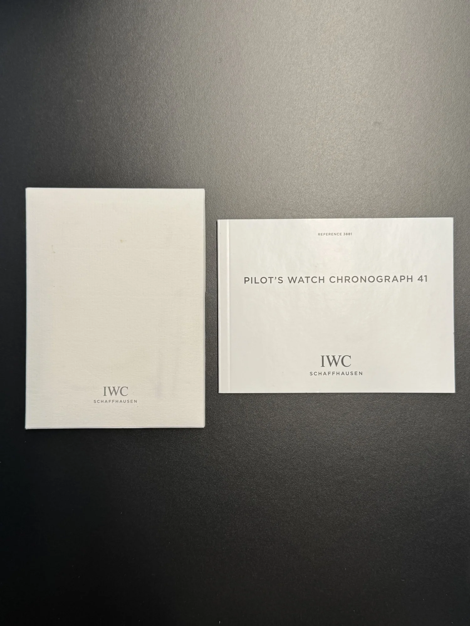 IWC Pilot Chronograph 41 stahl 13