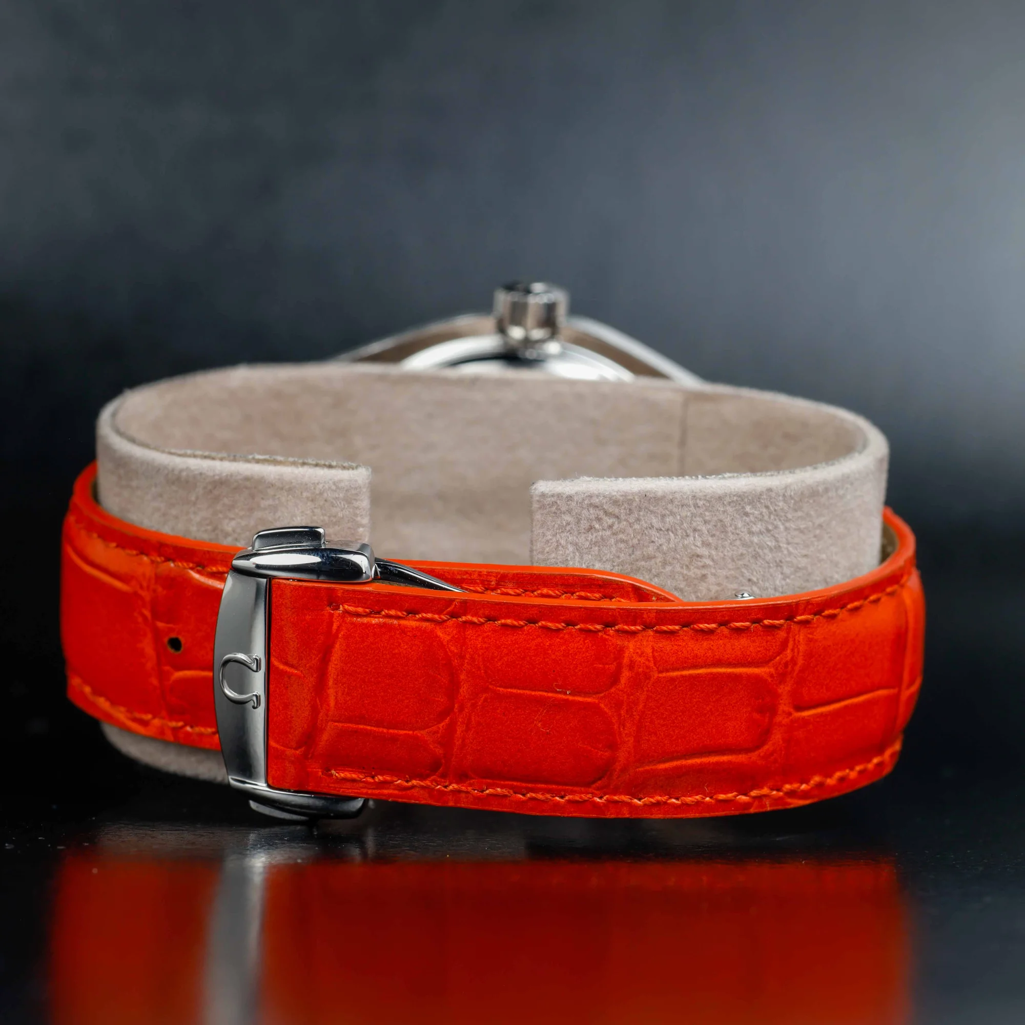 Omega Seamaster Planet Ocean acciaio 4