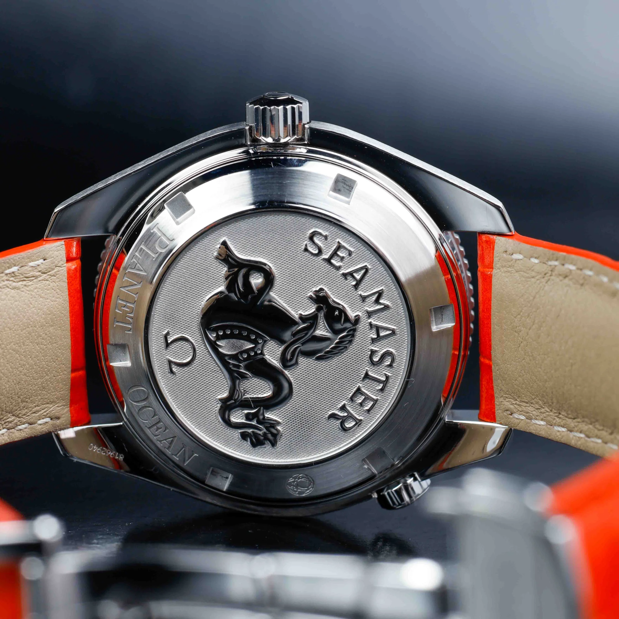 Omega Seamaster Planet Ocean acciaio 9