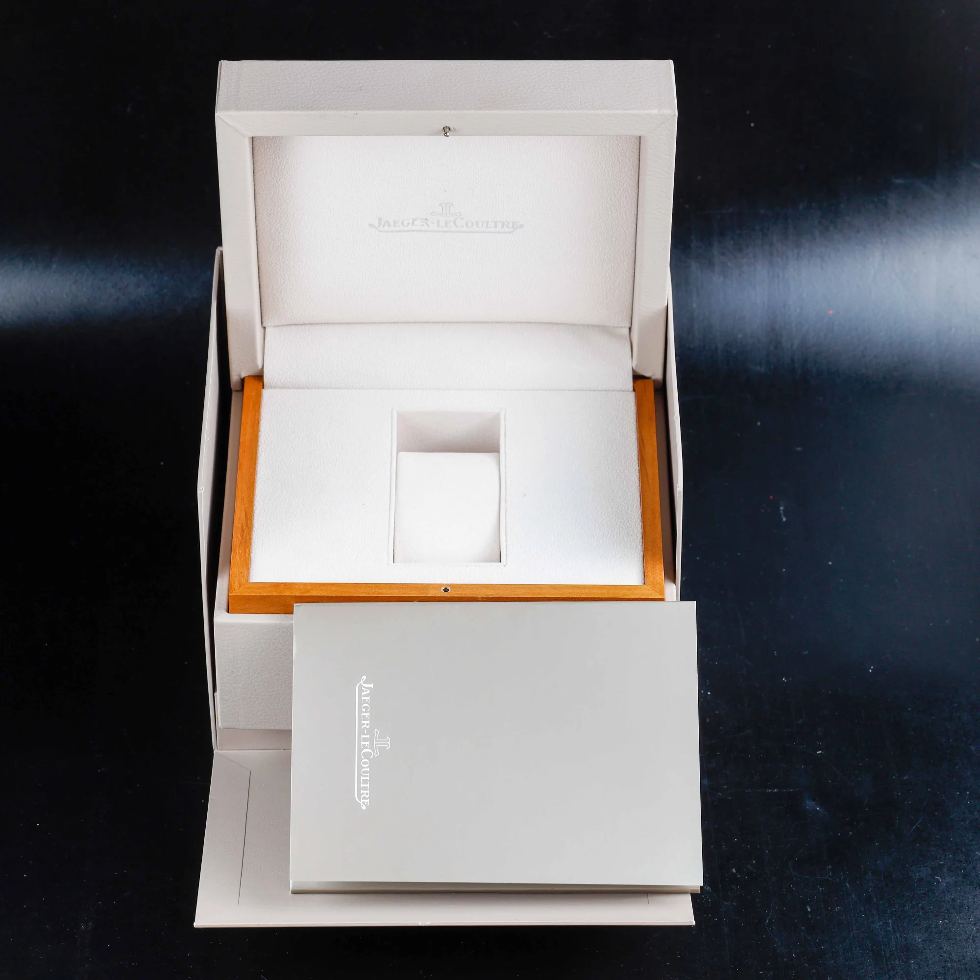 Jaeger-LeCoultre Geophysic True Second acciaio 12
