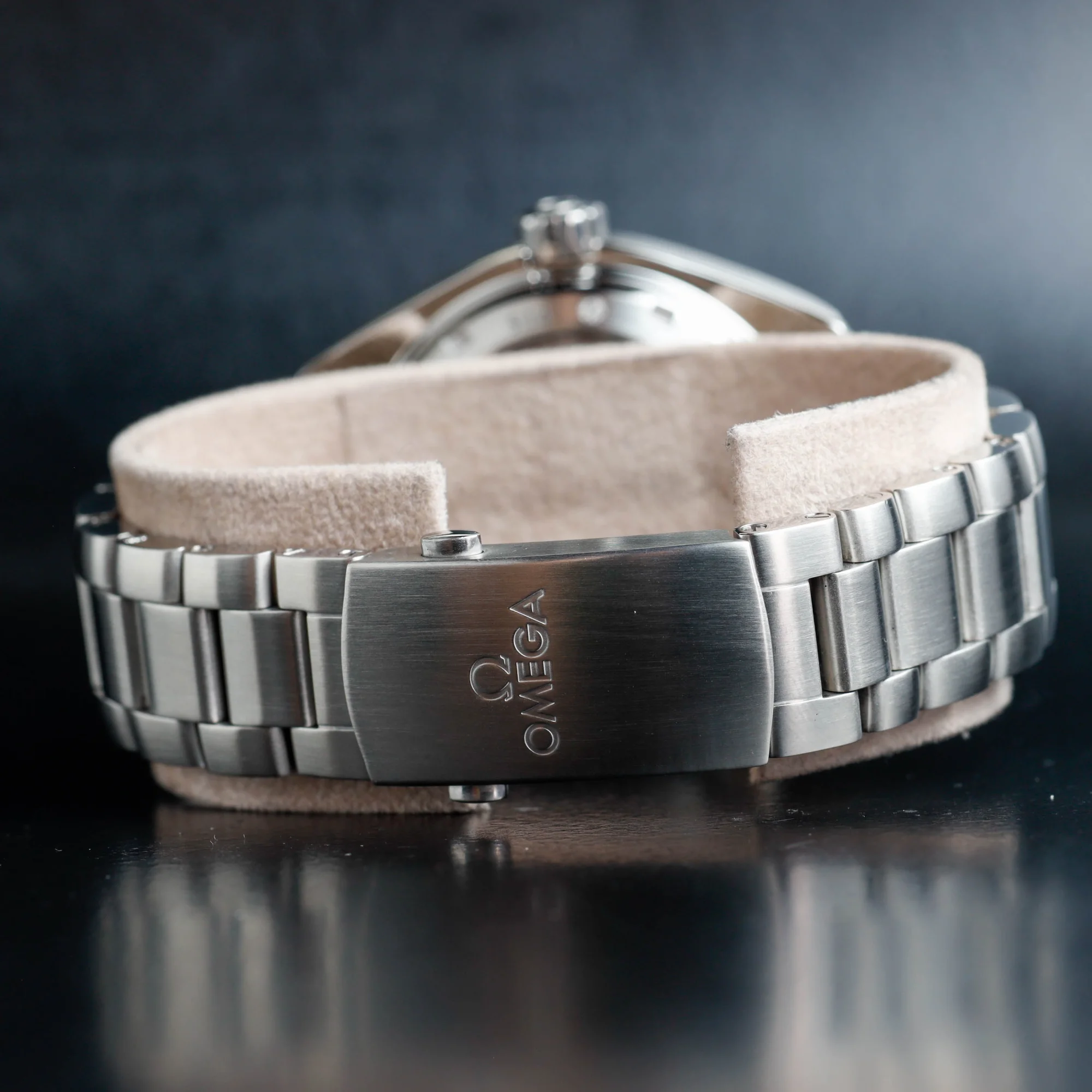 Omega Seamaster Planet Ocean Gmt steel 4