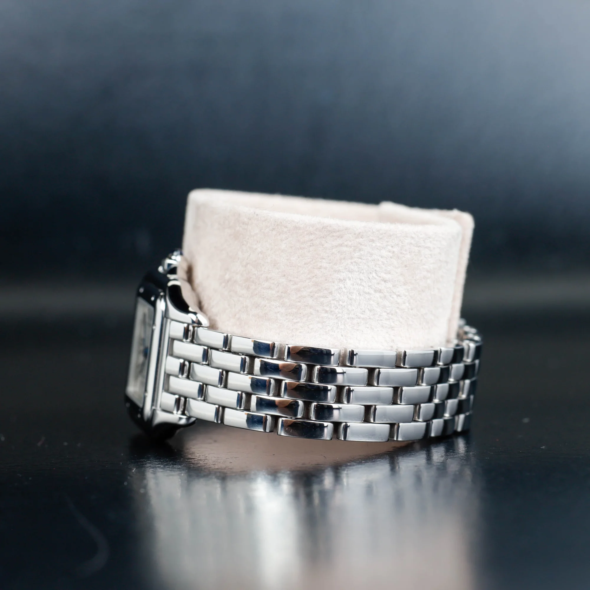 Cartier Panthère steel 3