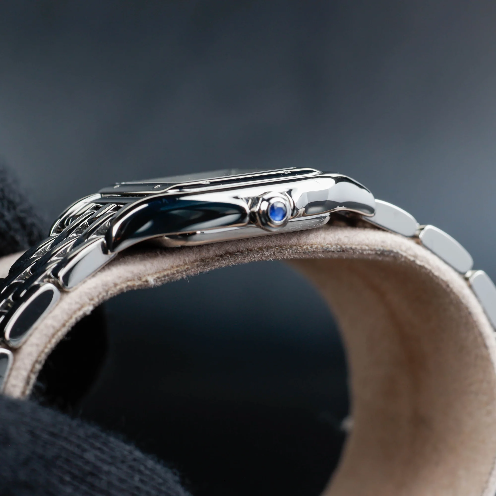 Cartier PanthÈre steel 5
