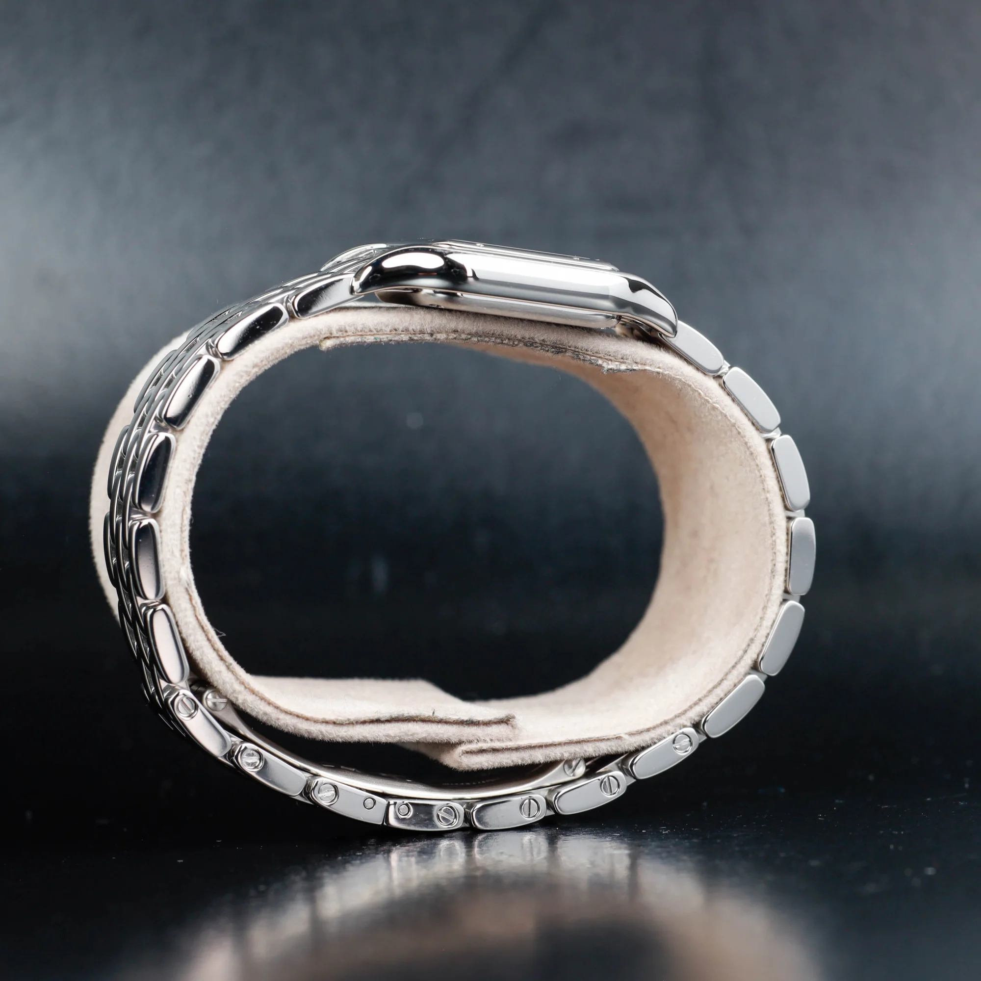 Cartier PanthÈre steel 7