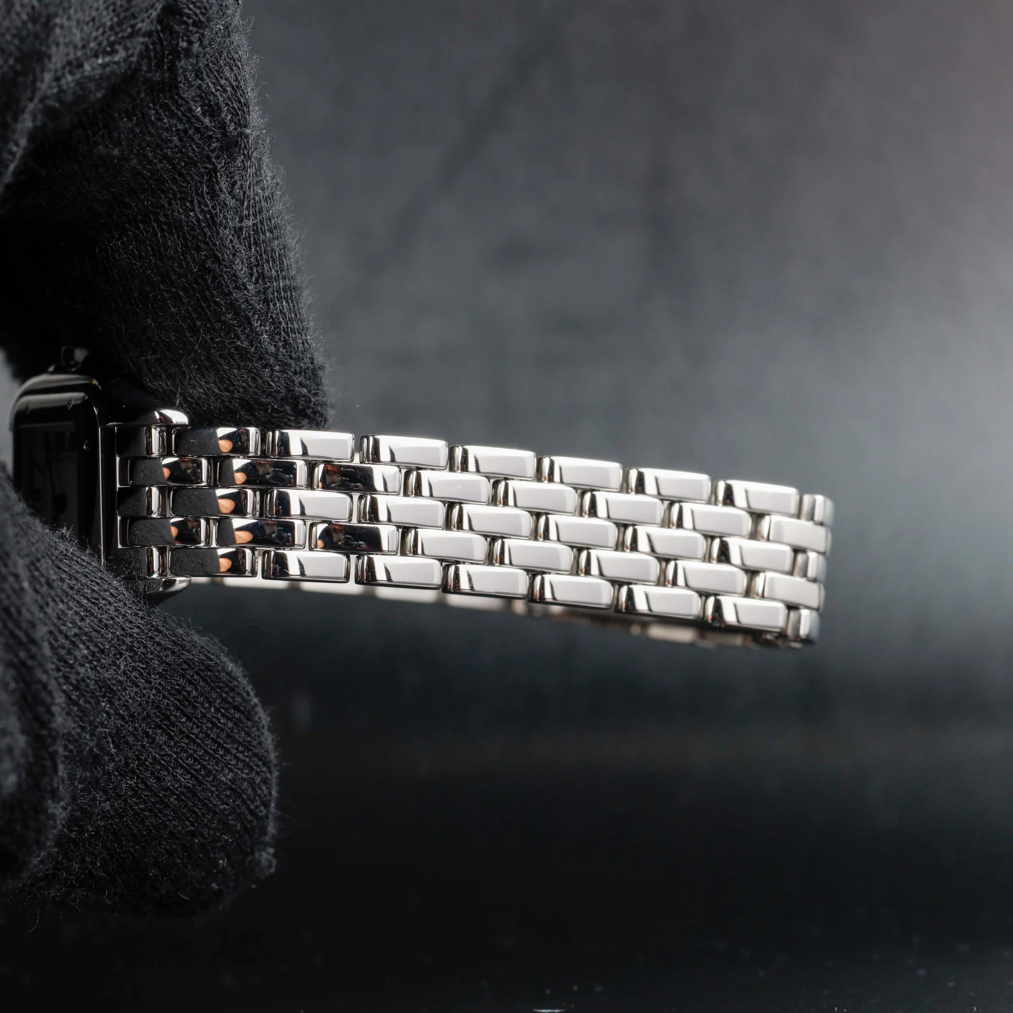Cartier PanthÈre steel 8